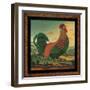 Rooster-Diane Pedersen-Framed Art Print