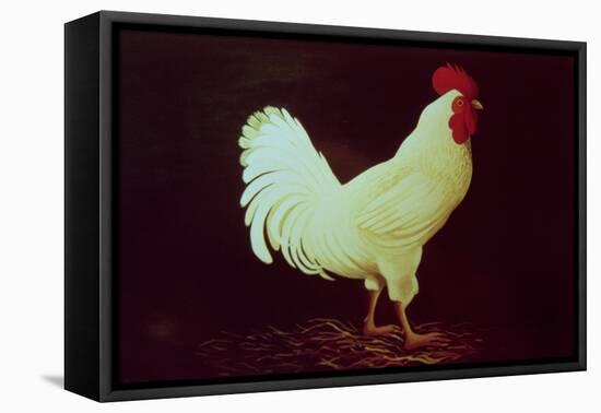 Rooster-Dory Coffee-Framed Stretched Canvas