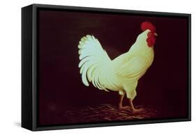 Rooster-Dory Coffee-Framed Stretched Canvas