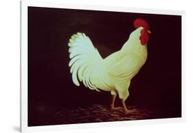 Rooster-Dory Coffee-Framed Giclee Print