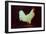 Rooster-Dory Coffee-Framed Giclee Print