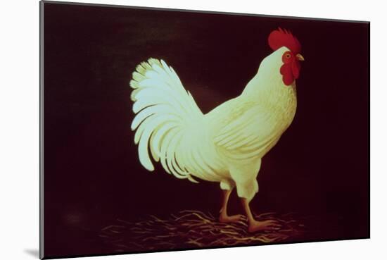 Rooster-Dory Coffee-Mounted Giclee Print