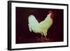 Rooster-Dory Coffee-Framed Giclee Print