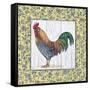 Rooster-Lisa Audit-Framed Stretched Canvas