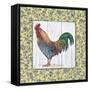 Rooster-Lisa Audit-Framed Stretched Canvas