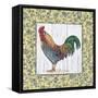 Rooster-Lisa Audit-Framed Stretched Canvas