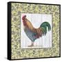 Rooster-Lisa Audit-Framed Stretched Canvas