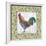 Rooster-Lisa Audit-Framed Giclee Print