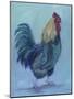 Rooster-Marnie Bourque-Mounted Giclee Print