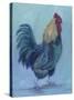 Rooster-Marnie Bourque-Stretched Canvas