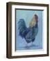 Rooster-Marnie Bourque-Framed Premium Giclee Print