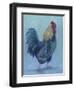 Rooster-Marnie Bourque-Framed Premium Giclee Print