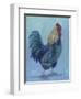 Rooster-Marnie Bourque-Framed Premium Giclee Print