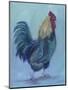 Rooster-Marnie Bourque-Mounted Premium Giclee Print