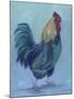 Rooster-Marnie Bourque-Mounted Giclee Print