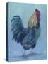 Rooster-Marnie Bourque-Stretched Canvas