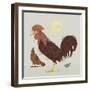 Rooster-Teofilo Olivieri-Framed Premium Giclee Print