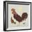 Rooster-Teofilo Olivieri-Framed Premium Giclee Print