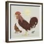 Rooster-Teofilo Olivieri-Framed Giclee Print