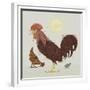 Rooster-Teofilo Olivieri-Framed Giclee Print