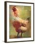 Rooster-Greg Simanson-Framed Giclee Print