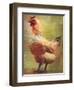 Rooster-Greg Simanson-Framed Giclee Print