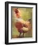 Rooster-Greg Simanson-Framed Giclee Print