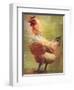 Rooster-Greg Simanson-Framed Giclee Print