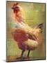 Rooster-Greg Simanson-Mounted Giclee Print