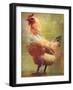 Rooster-Greg Simanson-Framed Giclee Print