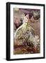 Roosters, 1910-Ernest Procter-Framed Giclee Print