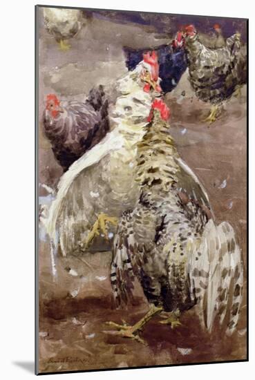 Roosters, 1910-Ernest Procter-Mounted Giclee Print