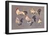 Roosters and Hens-null-Framed Premium Giclee Print