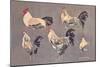 Roosters and Hens-null-Mounted Premium Giclee Print