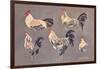 Roosters and Hens-null-Framed Art Print