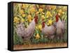 Roosters en Place II-Marcia Matcham-Framed Stretched Canvas