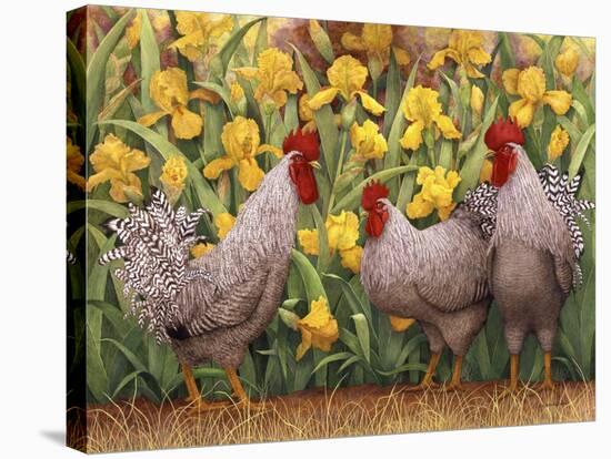 Roosters en Place II-Marcia Matcham-Stretched Canvas