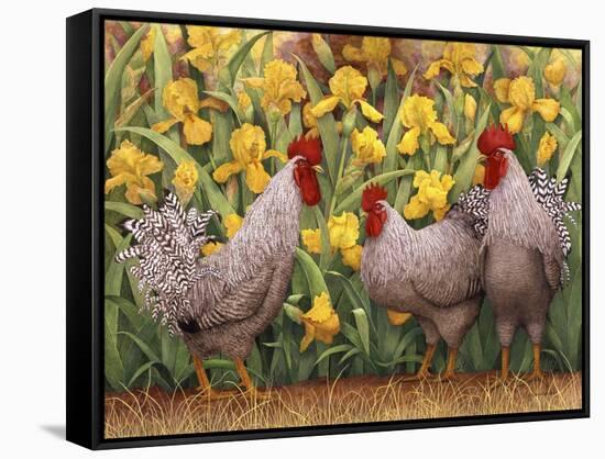 Roosters en Place II-Marcia Matcham-Framed Stretched Canvas