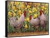 Roosters en Place II-Marcia Matcham-Framed Stretched Canvas