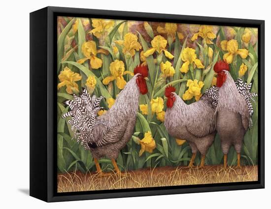 Roosters en Place II-Marcia Matcham-Framed Stretched Canvas