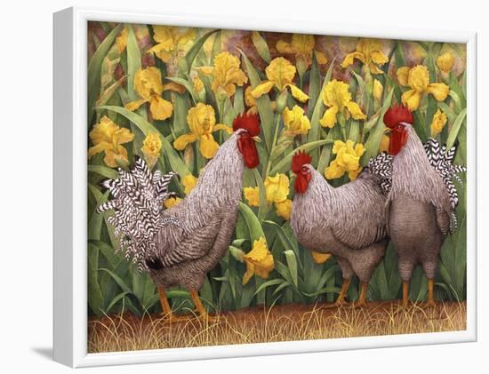 Roosters en Place II-Marcia Matcham-Framed Art Print