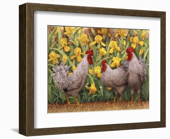 Roosters en Place II-Marcia Matcham-Framed Art Print