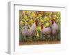 Roosters en Place II-Marcia Matcham-Framed Art Print