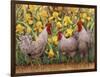 Roosters en Place II-Marcia Matcham-Framed Art Print