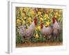 Roosters en Place II-Marcia Matcham-Framed Art Print