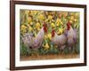 Roosters en Place II-Marcia Matcham-Framed Art Print