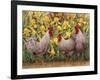 Roosters en Place II-Marcia Matcham-Framed Art Print