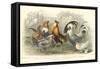 Roosters & Hens-J. Stewart-Framed Stretched Canvas