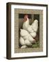 Roosters I-Cassel-Framed Art Print