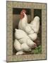 Roosters I-Cassel-Mounted Art Print